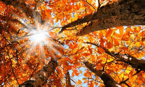 A Better Self Storage Fountain