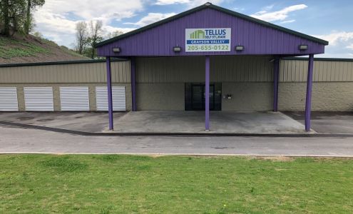 Tellus Self Storage - Grayson Valley