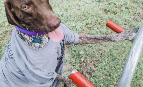 Flint Hills Moving Manhattan