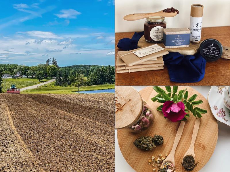 Schoppee's Dairy LLC