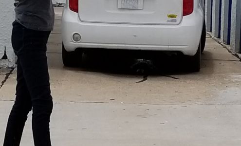 Bellevue Budget Storage