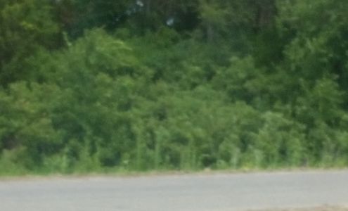 Superior Storage Atlanta