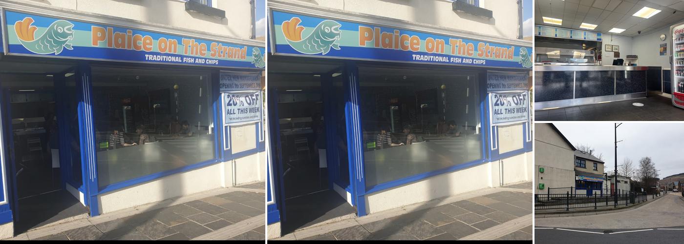 Plaice on the strand