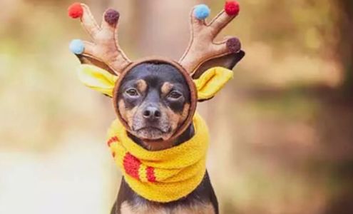 Haven Mini Storage Buhler