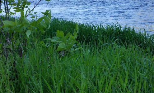 Harding Daniel Benton