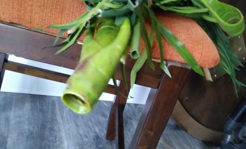 Roadrunner Moving & Storage