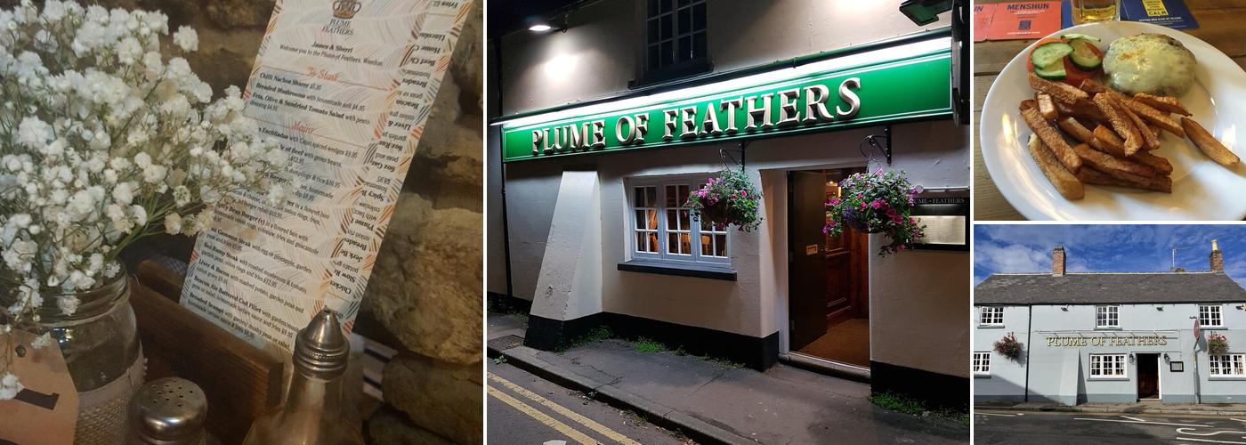 The Plume Of Feathers, Weedon