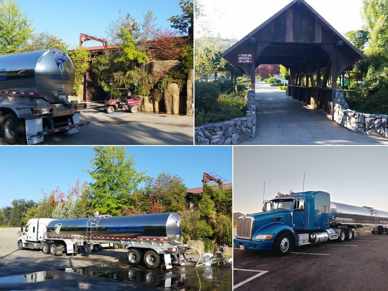 TJS Leasing +Holding