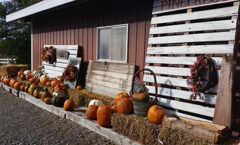 Pinecrest Tree Farm Blue Springs