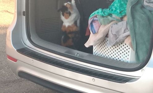 Mr Storage Grover Beach Grover Beach