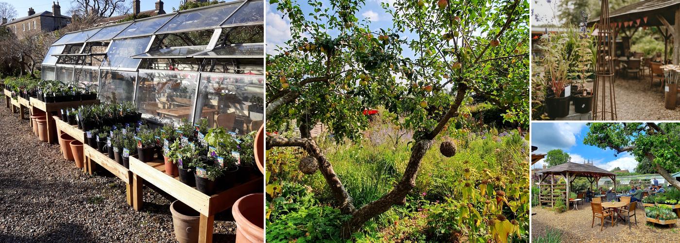 The Walled Garden at Mells