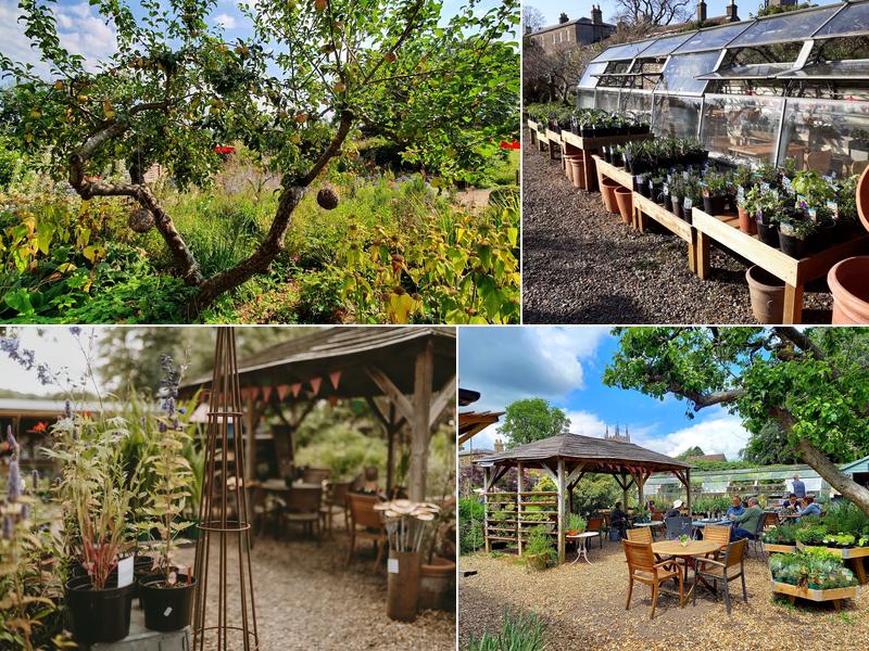 The Walled Garden at Mells