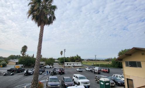 Russo's Marina Bethel Island