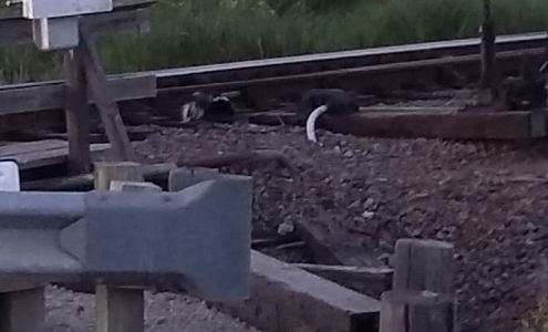 Northwood Inc Mini Storage Abilene