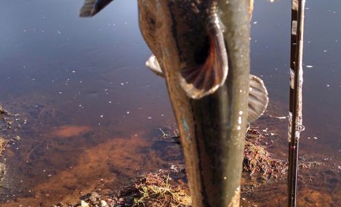 Rock Falls Mini Storage Mondovi