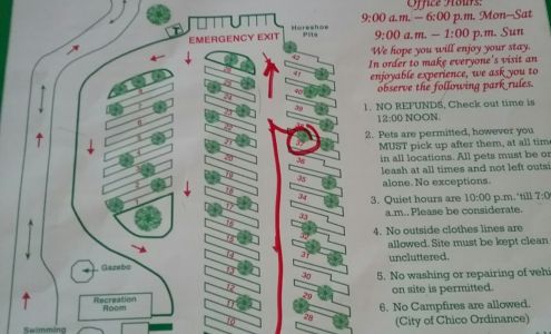 Almond Tree Mini Storage