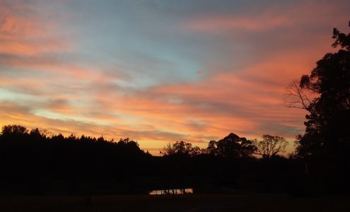 Phelps Trucking Inc Foxworth