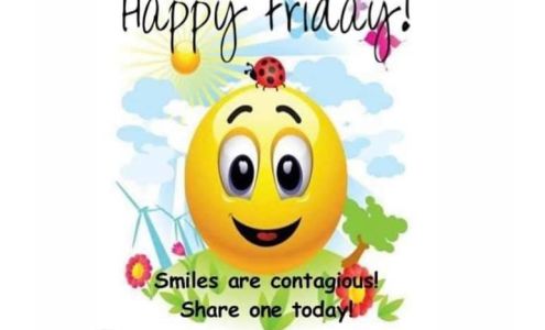 Piedmont Transportation