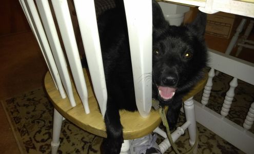 El Dorado Self Storage Santa Fe