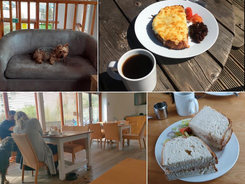 Corrwg Cwtch (Cafe Bar) Glyncorrwg Mountain Bike Centre