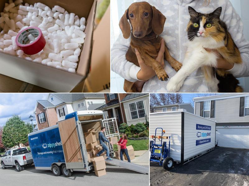 Zippy Shell Columbus