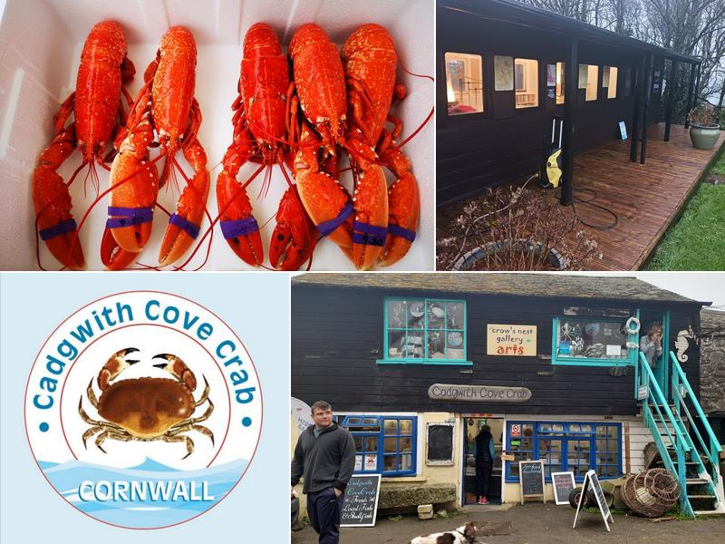 Cadgwith Cove Crab