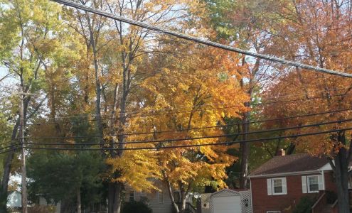 L'OASIS MOVING & CLEANING COMPANY Manassas Park