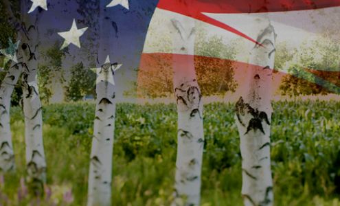 APS Properties & Storage