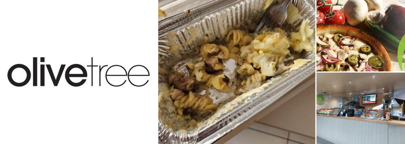 Olive Tree - Ipswich