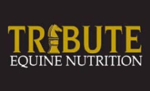 Storage Shed Inc Shady Spring