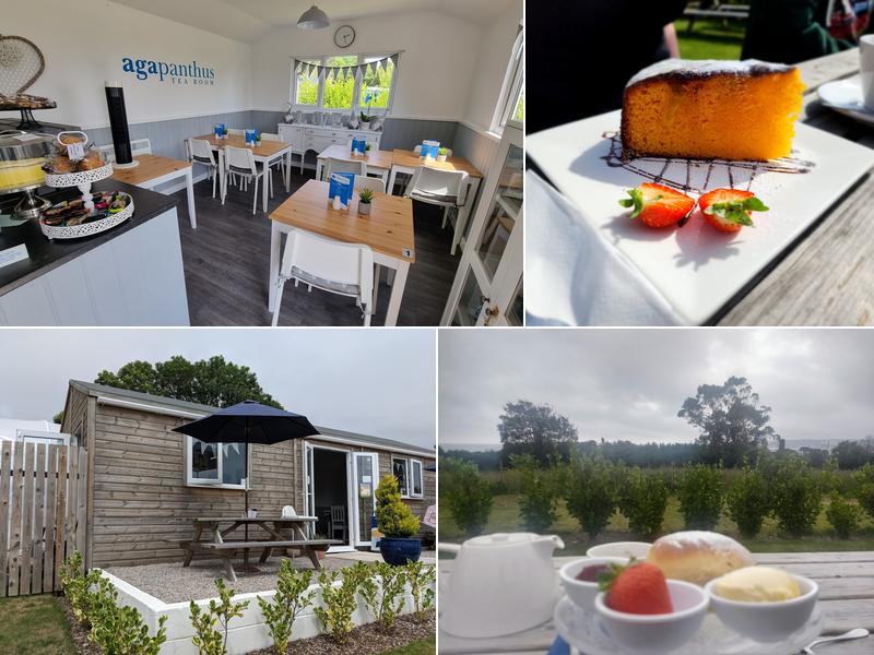 Agapanthus Tea Rooms