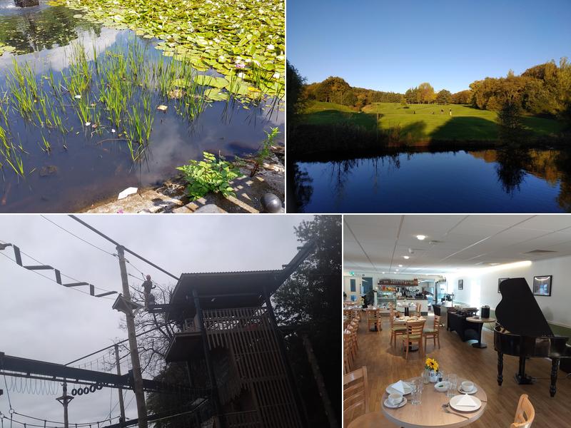 Haigh Kitchen Courtyard