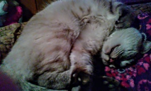 505 RV Park Flora Vista