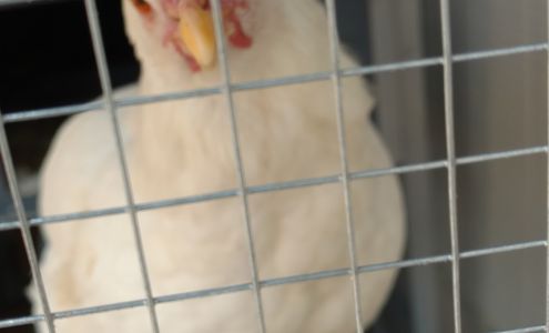 M & M Self-Storage And U-Haul Rentals Edgewood