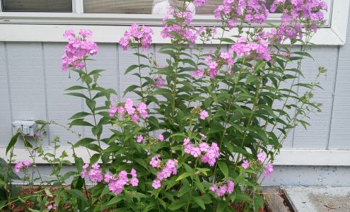 Mount Pocono Self Storage Tobyhanna