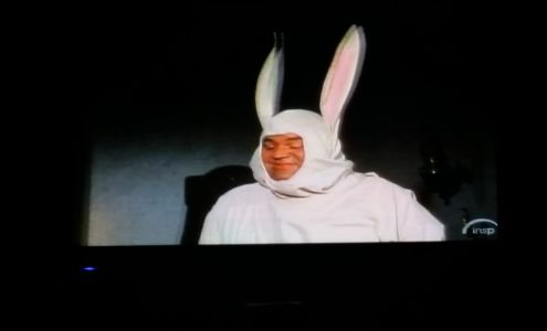 Camo Trucking LLC Crane