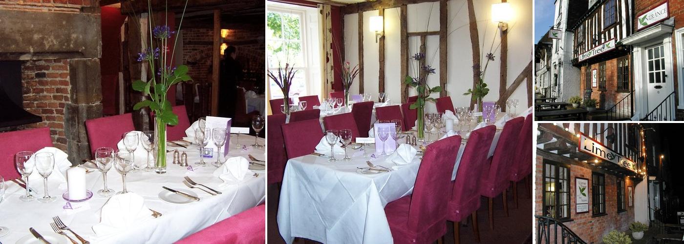 The Lime Tree On The Square