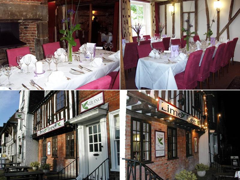 The Lime Tree On The Square