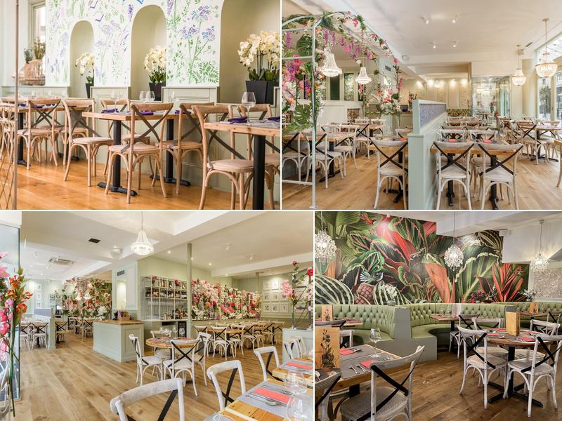 Giggling Squid - Harrogate