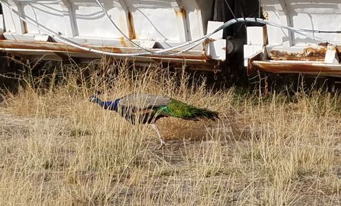 Higley Services Grantsville