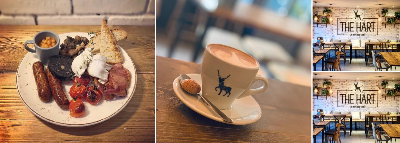 The Hart of Hartford