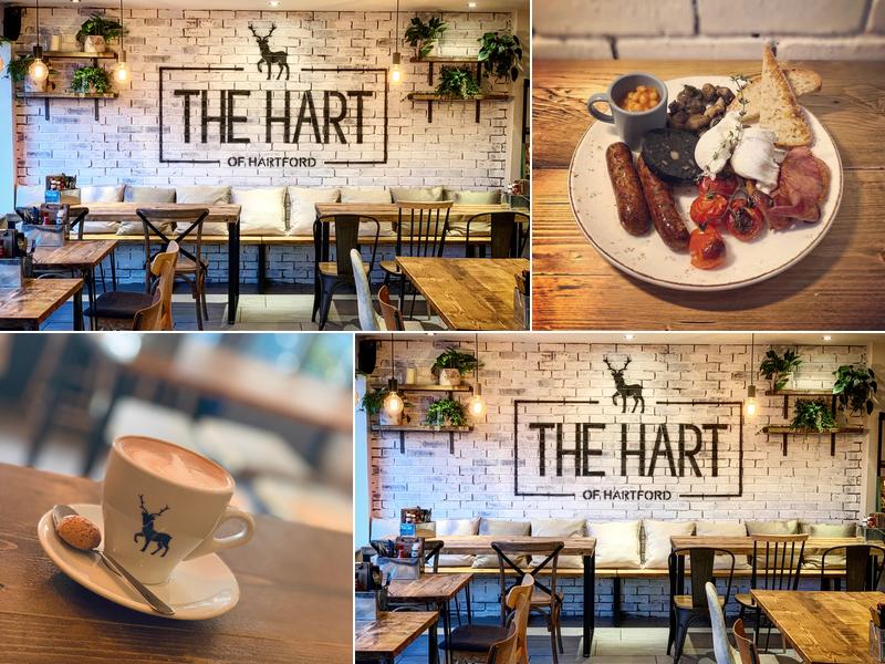 The Hart of Hartford