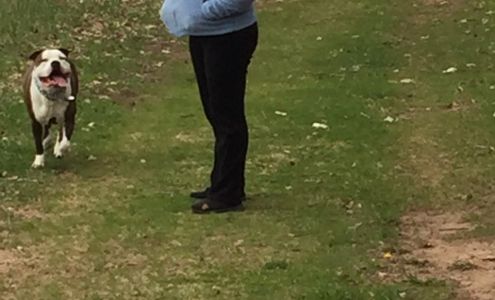 Maple View Trucking Bear Creek