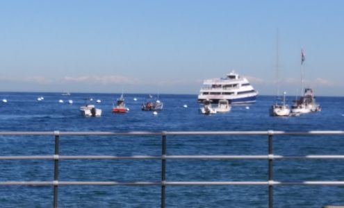 Avalon Blue line Baggage Avalon