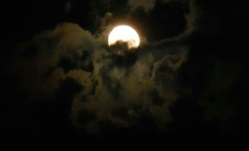 Oak Park Mini Storage Catheys Valley