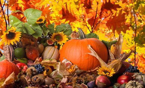 G-Line Trucking Dyersville