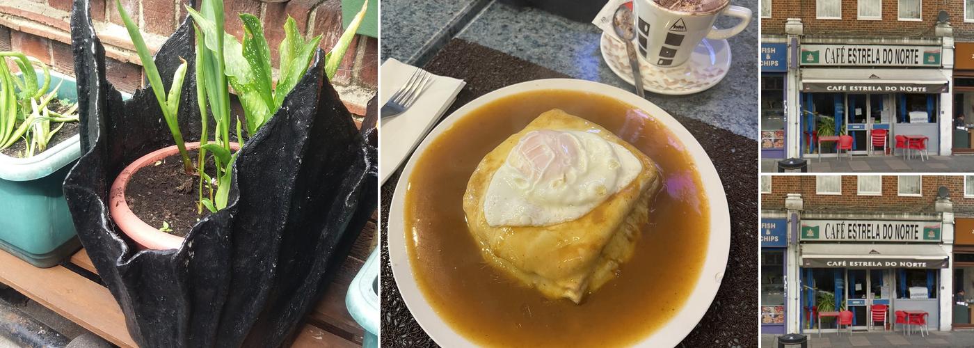 Café Estrela Do Norte