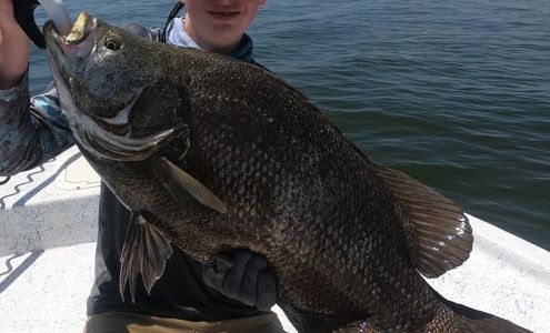 Island Marine Charters Gulf Shores