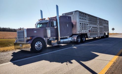 Cumberland Transport Co