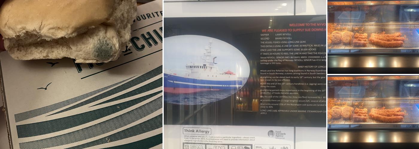 Sue downs traditional fish and chips